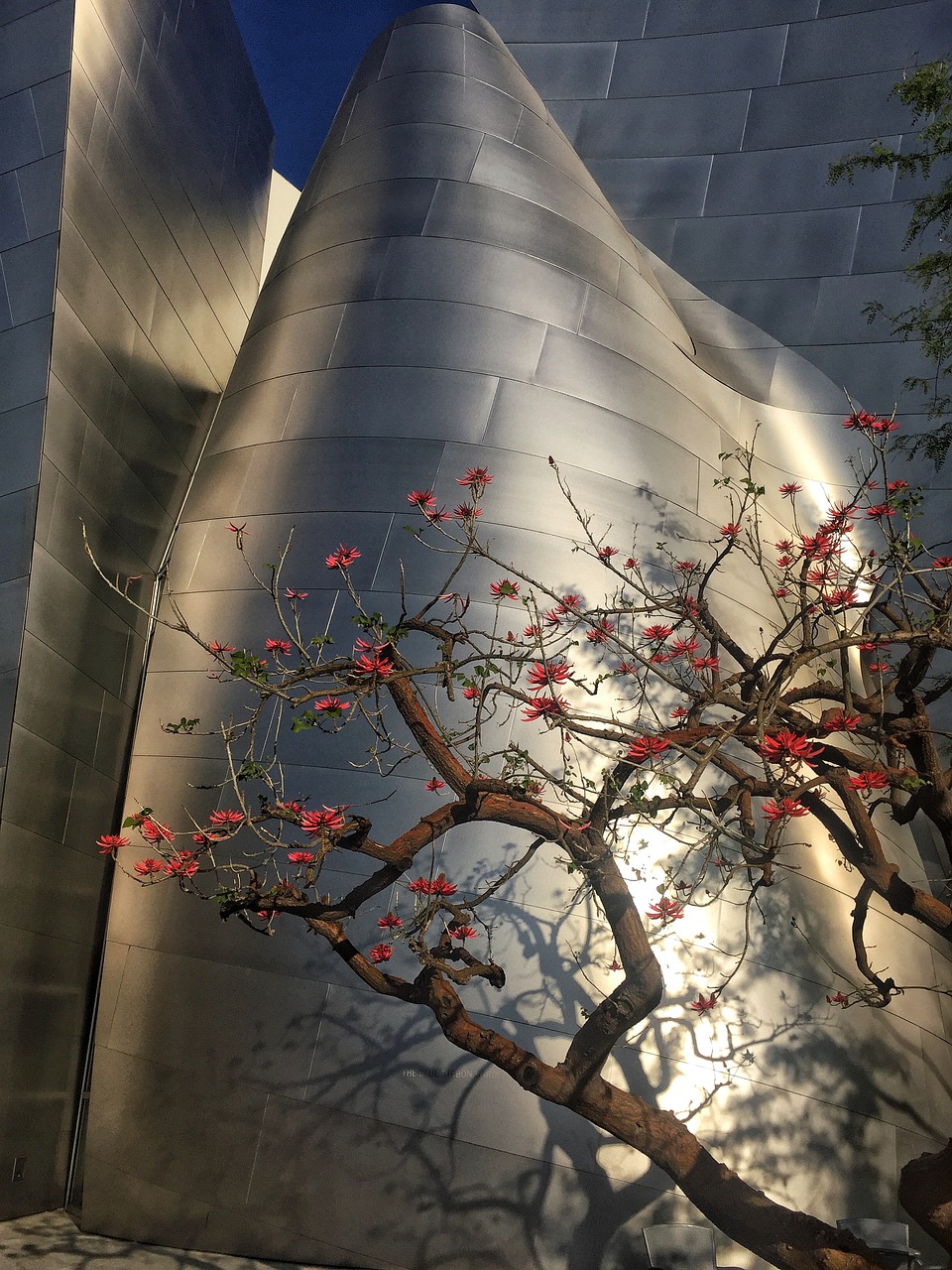 慈城新城最新動(dòng)態(tài)，城市發(fā)展的蓬勃活力與未來(lái)展望