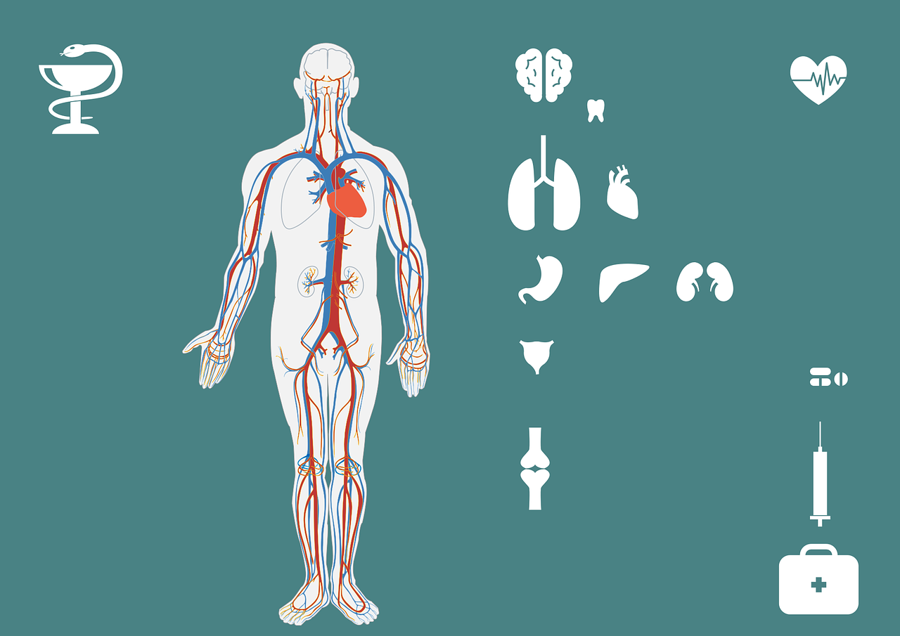 關(guān)注肺部健康，最新資訊與預(yù)防勝于治療的重要性