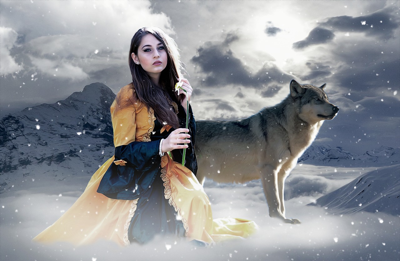 秦夫人最新章節(jié)探秘，揭開神秘面紗