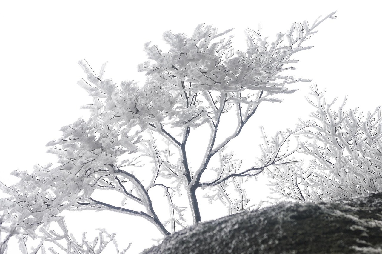 江南煙雨新篇，詩意畫卷中的時(shí)代變遷與文化繁榮探索