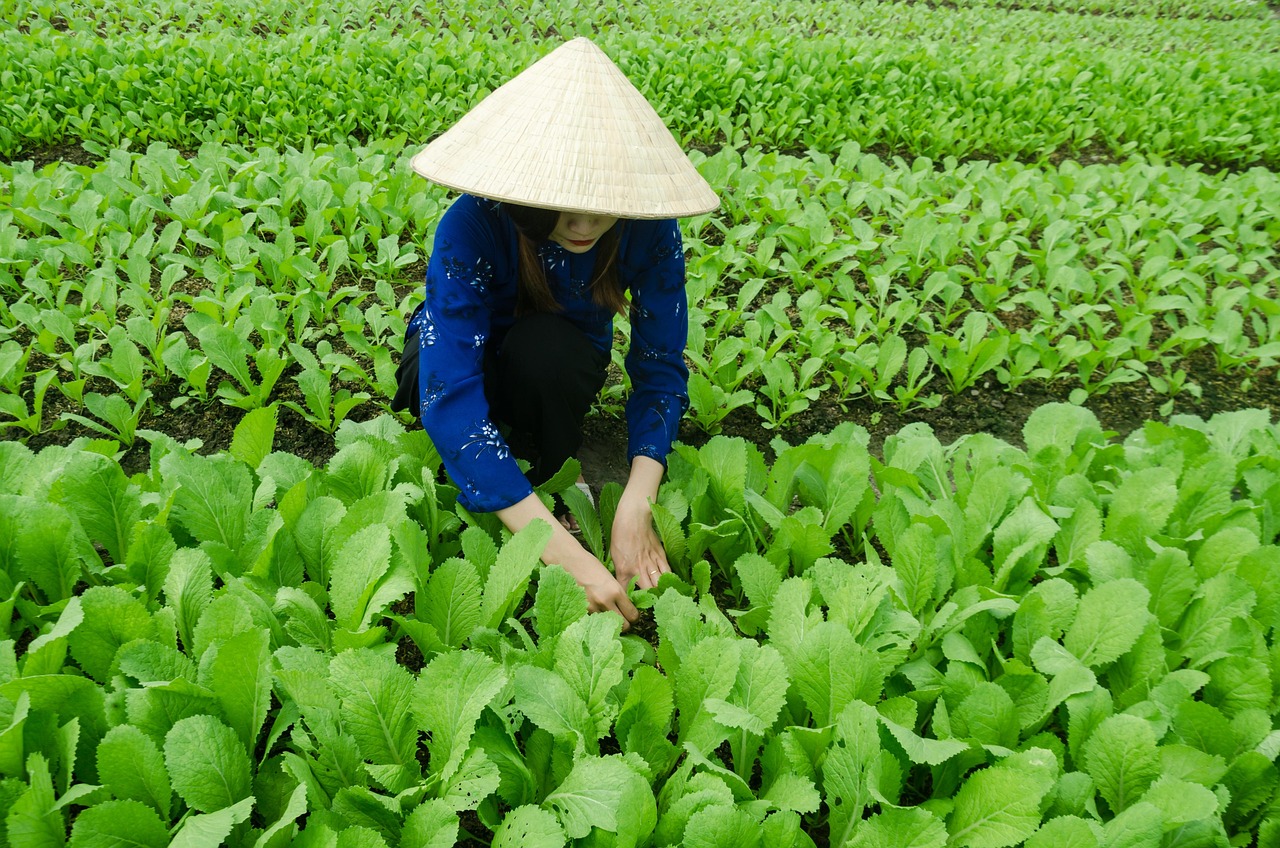 江蘇沭陽賢官最新發(fā)展動態(tài)與變化脈搏