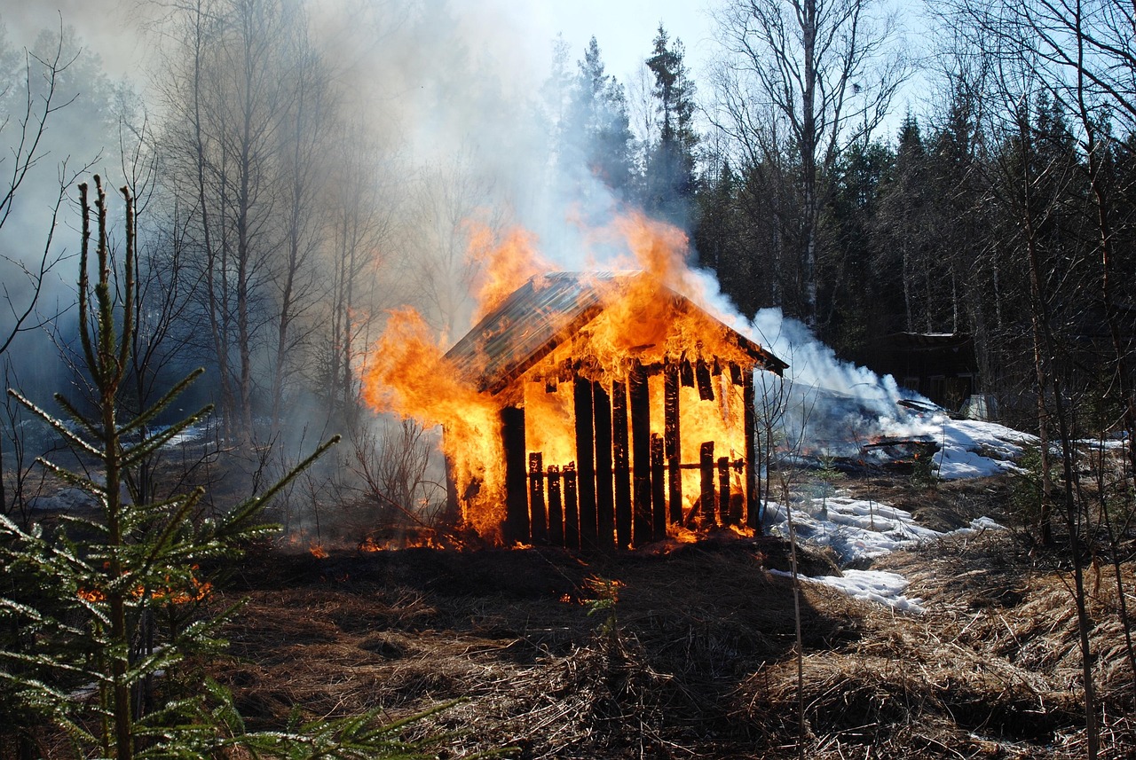 杭州保姆縱火事件最新進(jìn)展深度解析與報道