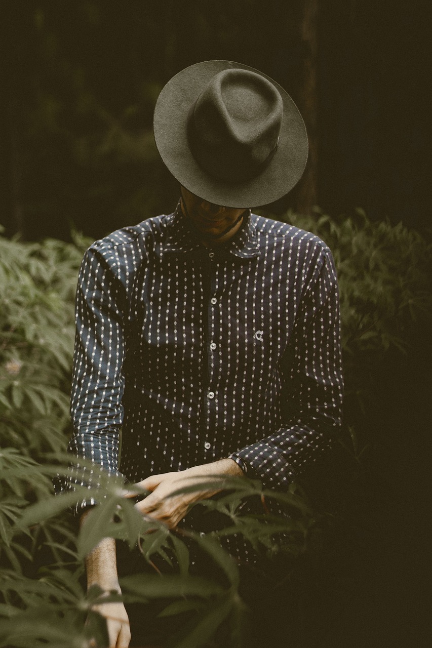 璀璨星光下的時(shí)尚魅力，最新女明星寫真曝光
