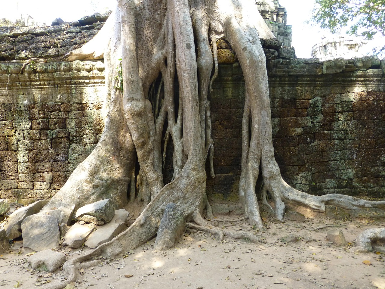 張杰音樂之旅新篇章，最新動(dòng)態(tài)揭秘