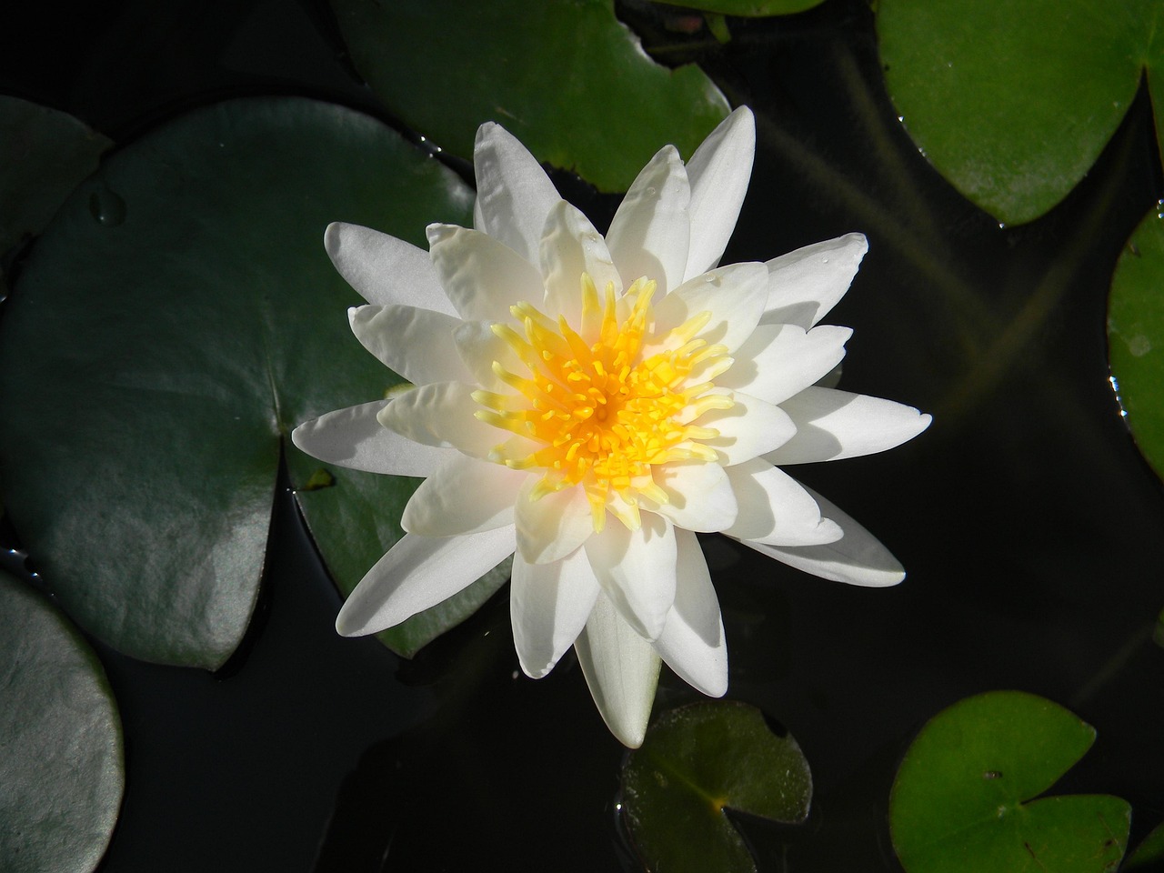 博野新動態(tài)，引領(lǐng)未來，攜手共創(chuàng)輝煌