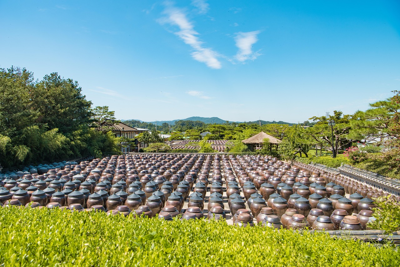 楊敬農(nóng)最新動(dòng)態(tài)2017，探索前沿科技，農(nóng)業(yè)創(chuàng)新引領(lǐng)未來(lái)