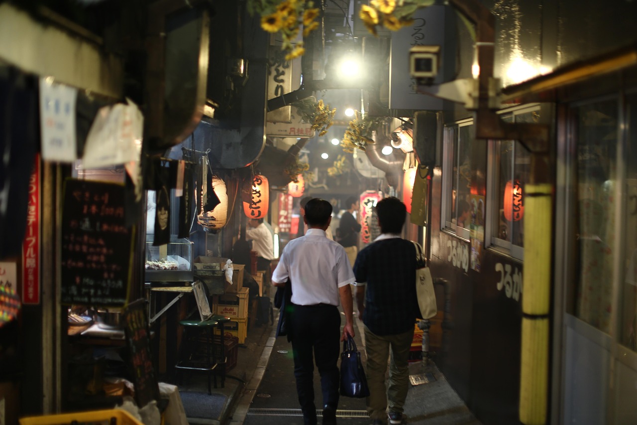 日本成人電影的魅力與影響探索